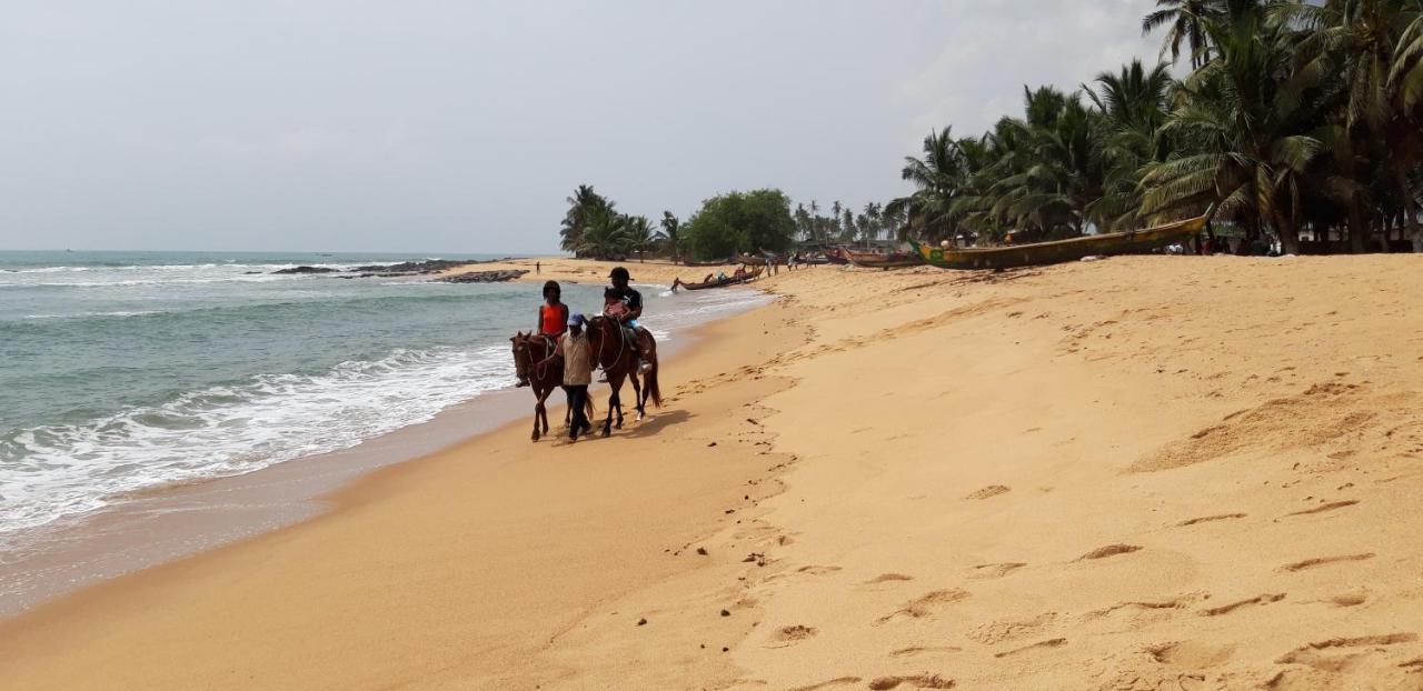 Afiki Hotel Elmina Luaran gambar